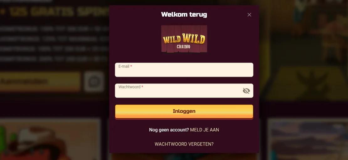 Wild Wild Casino inlogformulier met velden voor e-mail en wachtwoord, een inlogknop en opties voor registratie en wachtwoordherstel